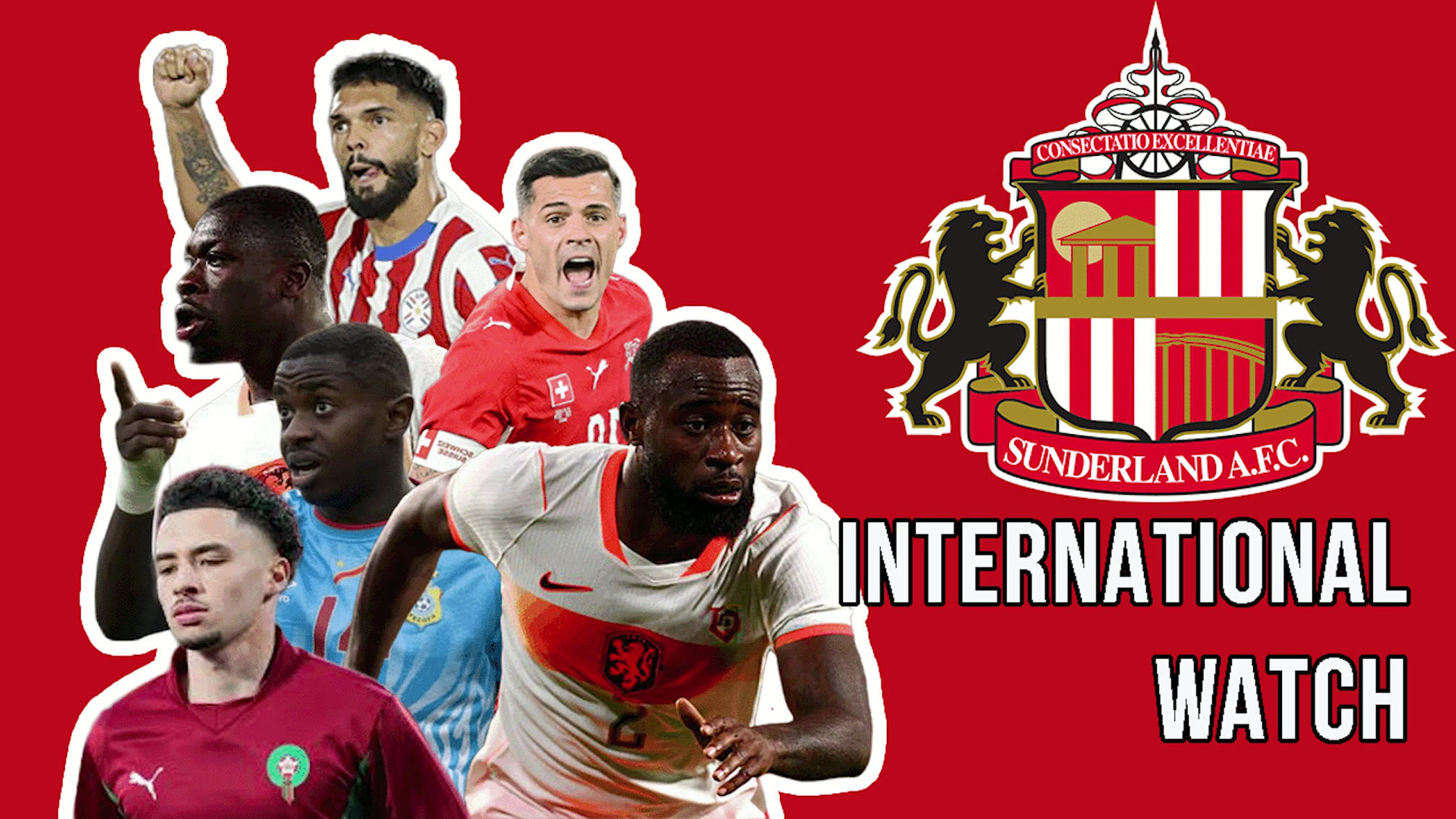 Trans World Sports - Player catch up